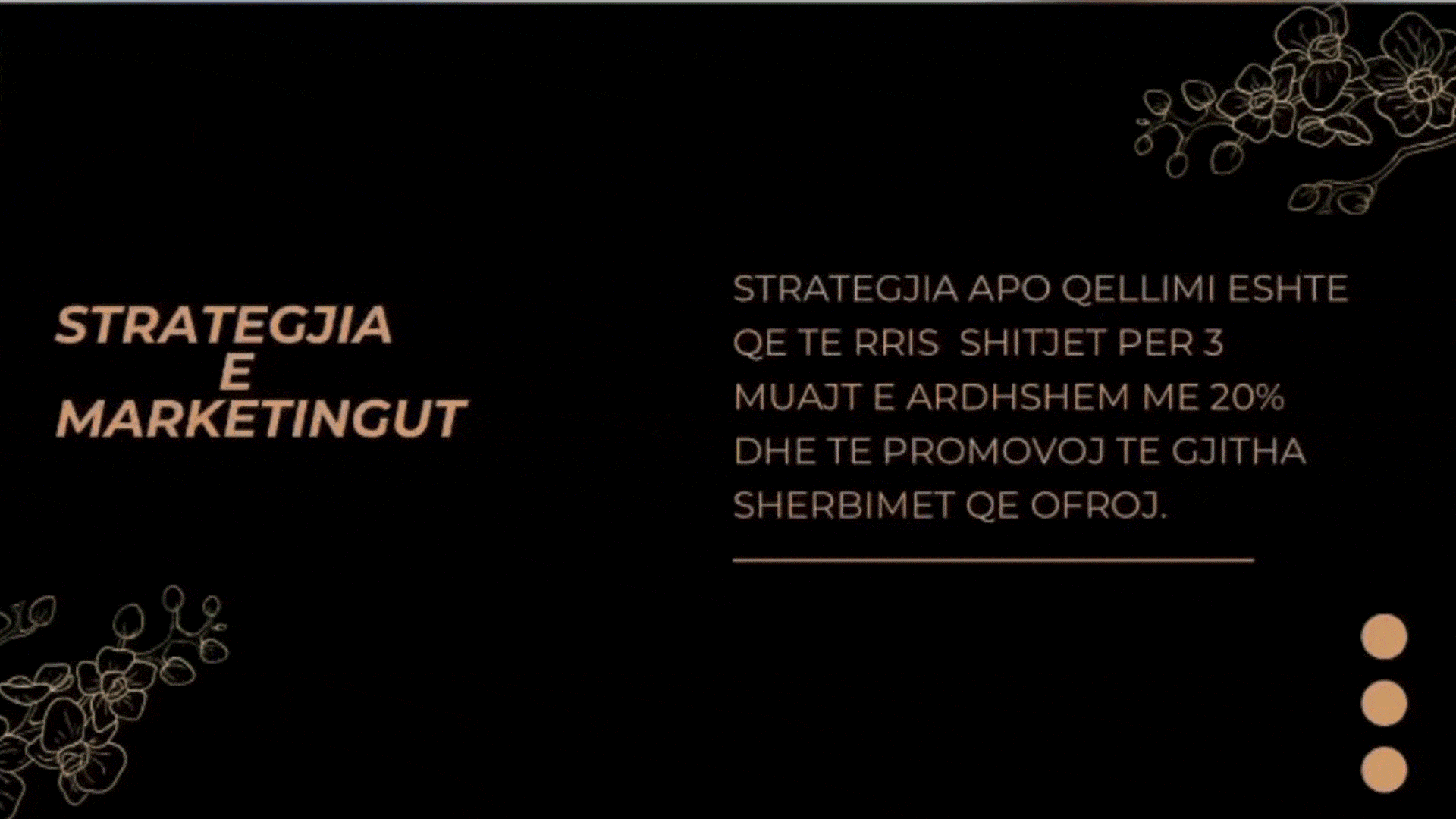 Fabius Hoxha - Digital Marketing & SEO