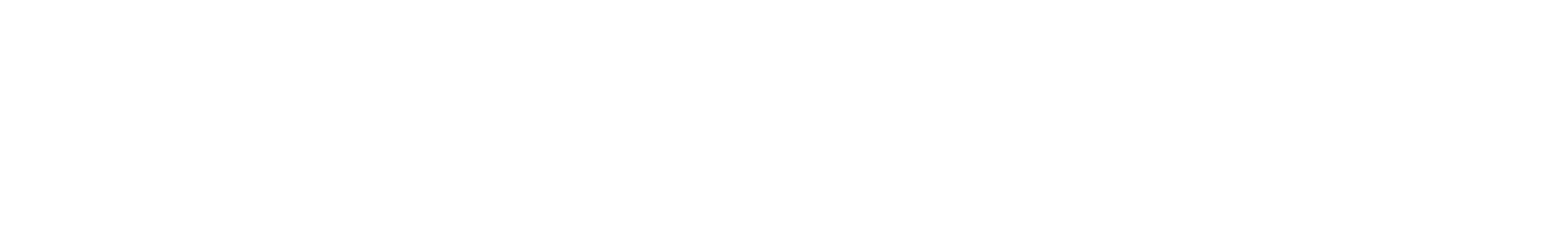 Dominusoft